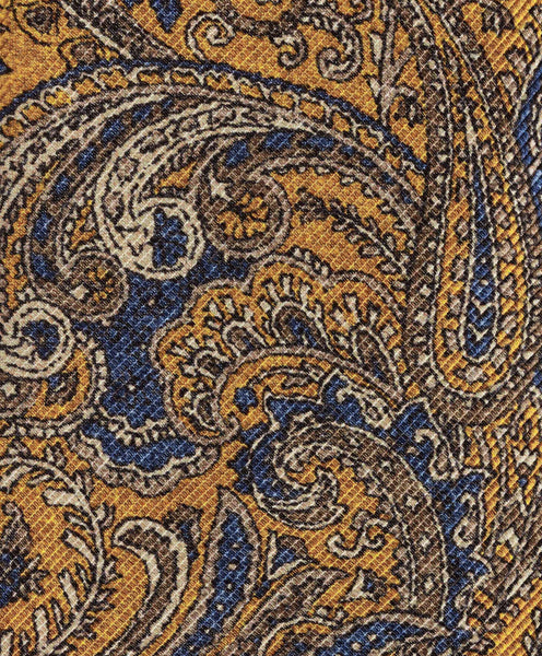 NTR09599710 | Gold Paisley Print Tie